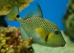 10327039006500042500_1z1u7hdyla