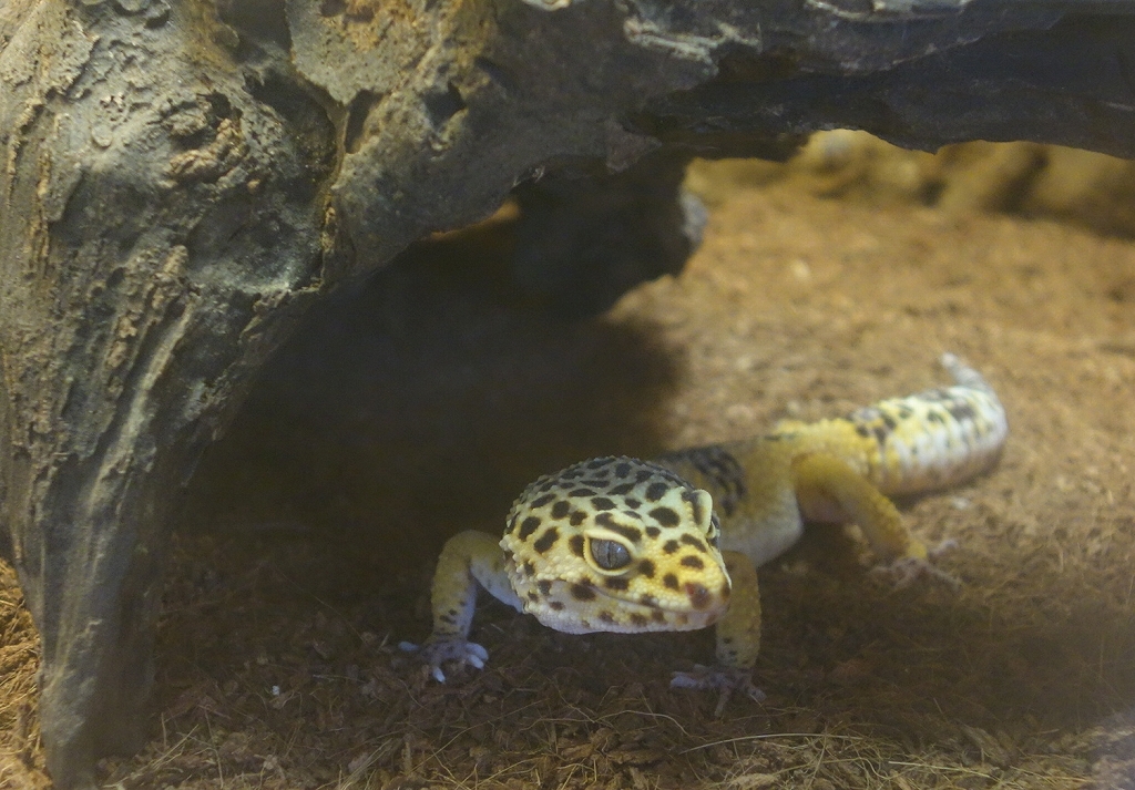 外が騒がしいようだな　その12