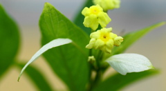 薄着じゃなくて・・・