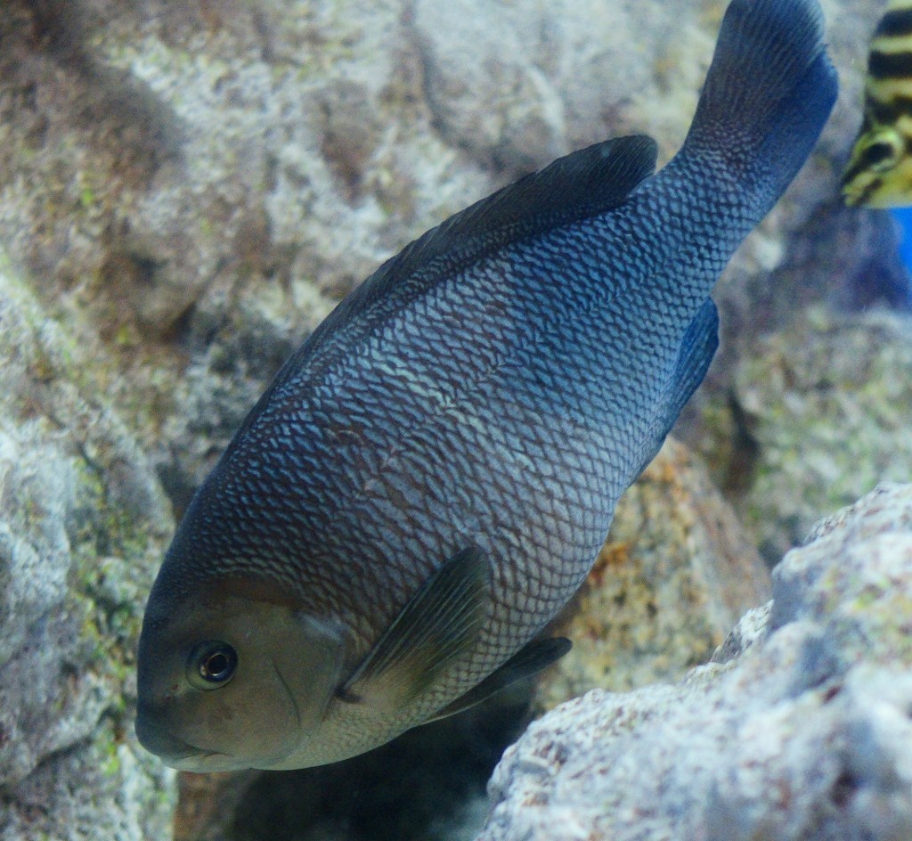 10326828563200042500_3xn6fzuula