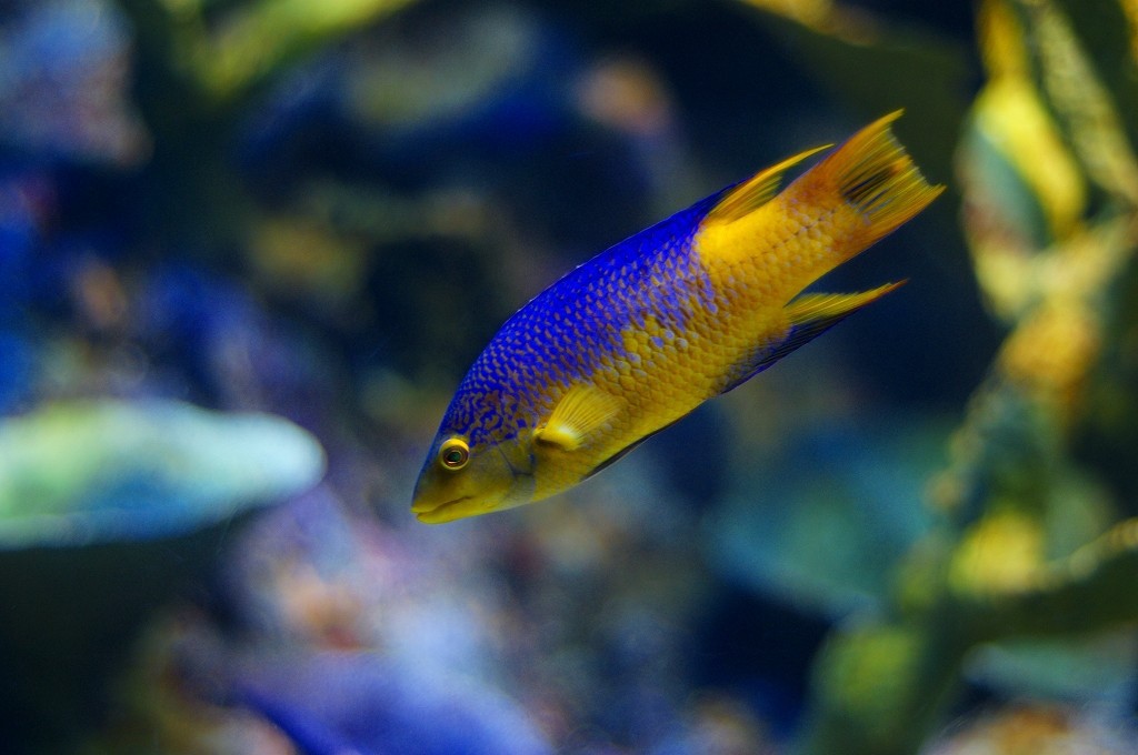 10133501805800042500_29inc6qjla