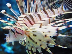 10135911232900042500_ehzsta8lla