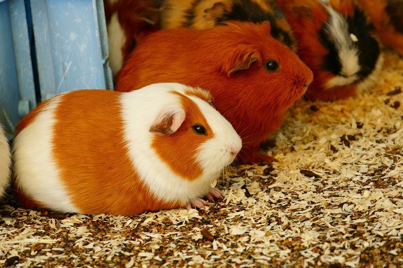 10128098689600042500_1iiruj5xla