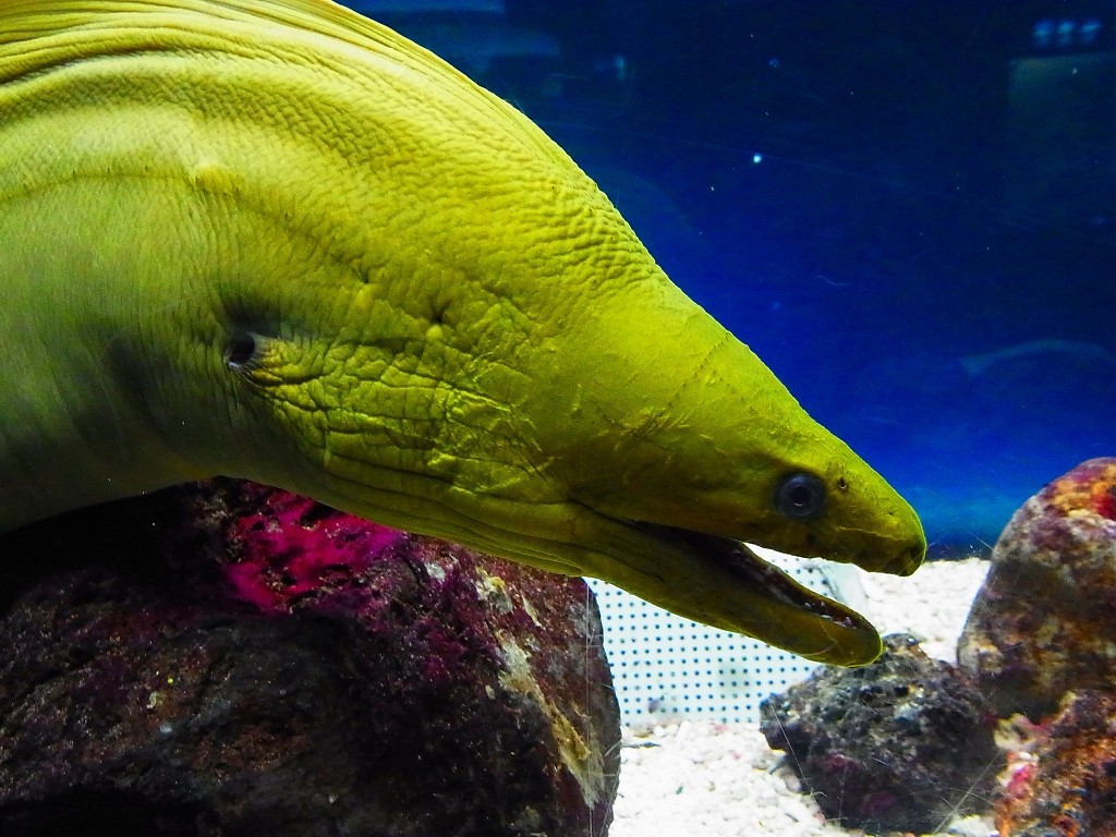 10230761202900042500_1ibrxlrnla