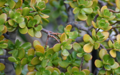 我が懐は・・・・