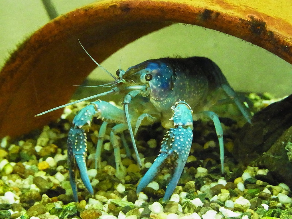 10137344103500042500_sucujqj6la