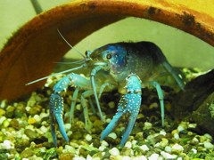 10137344103500042500_sucujqj6la