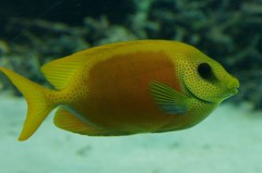 10325769859200042500_4lnfkf23la