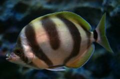 10233622636900042500_rdgworurla