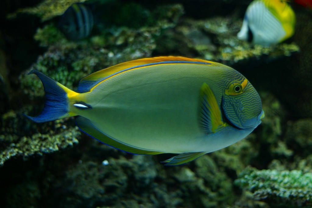 10530175014300042500_vhanlhs9la