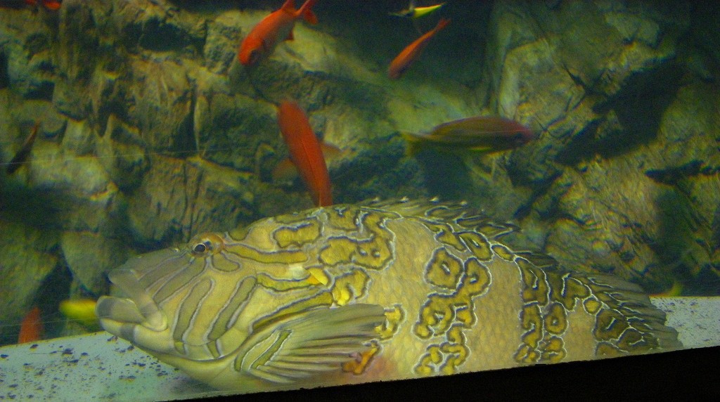 10329916532100042500_xwtgh3sfla