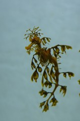 10230269466400042500_7pzq84qzla