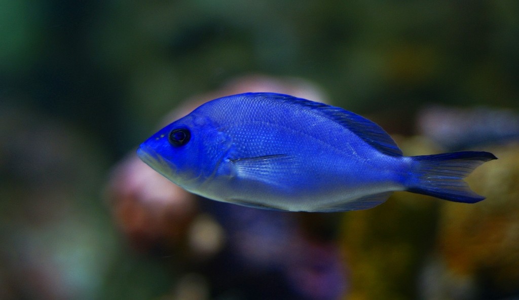 10133492763900042500_6r4jxy9ola