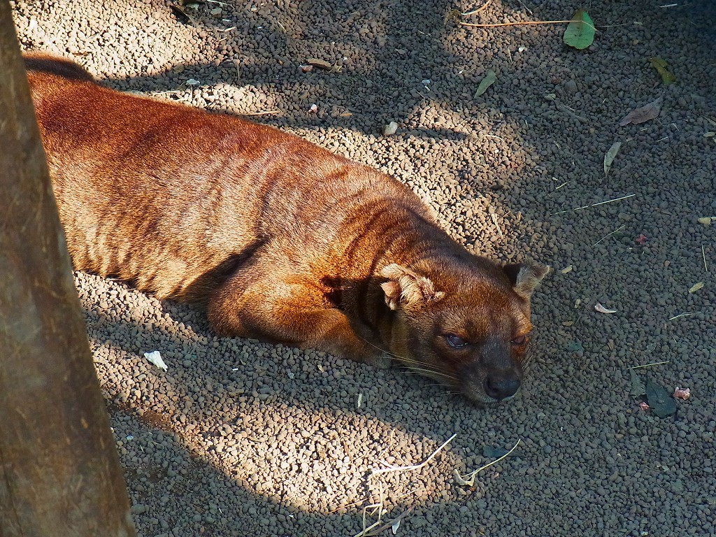 10133959521200042500_m1pf09jxla