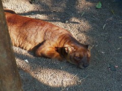 10133959521200042500_m1pf09jxla