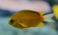 10327989883900042500_r2oo4ll1la