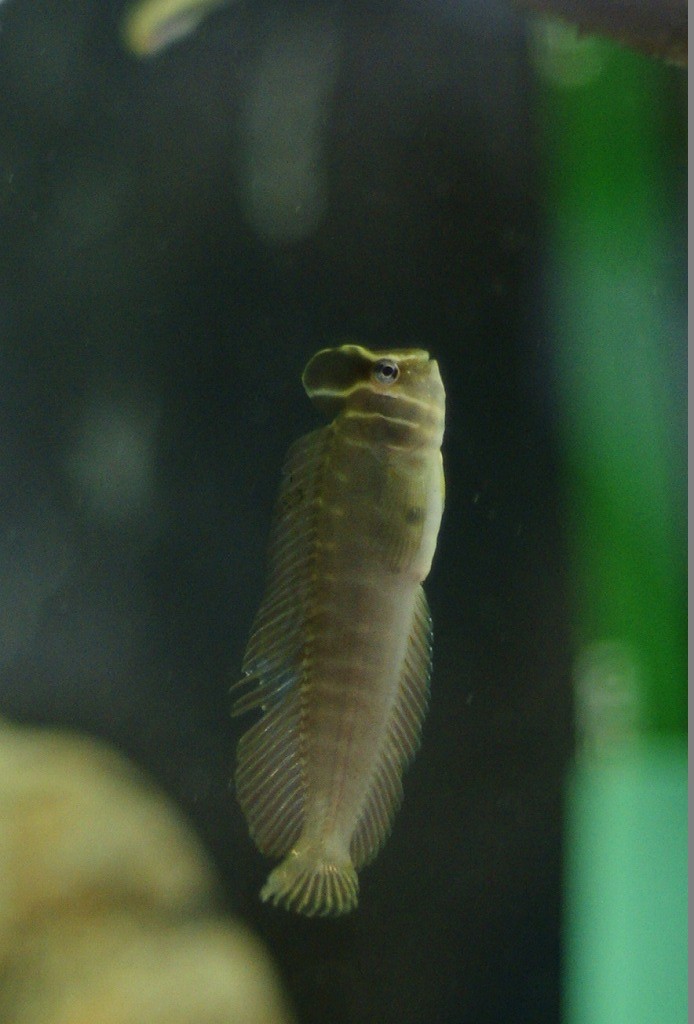 10237532677800042500_chx9kn4fla