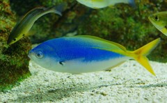 10327669084300042500_ugnlrkv9la