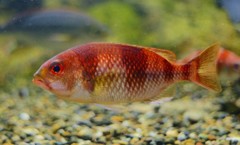 10128836305500042500_qyuuslfvla