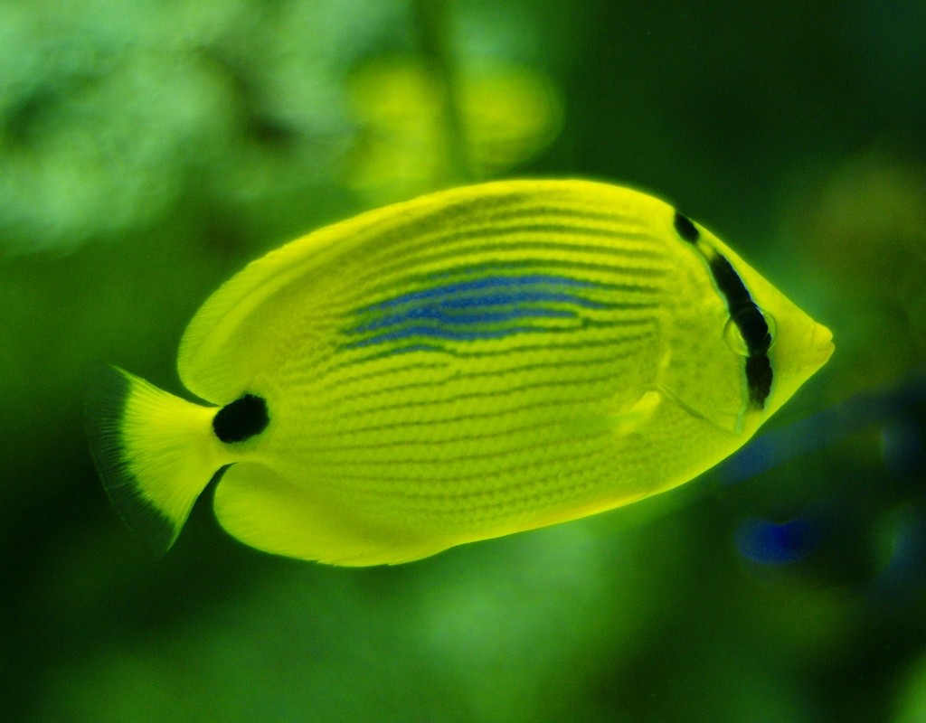 10226702445400042500_8u25hxv6la