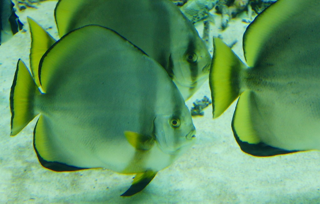 10125846847800042500_qbi7v6y9la