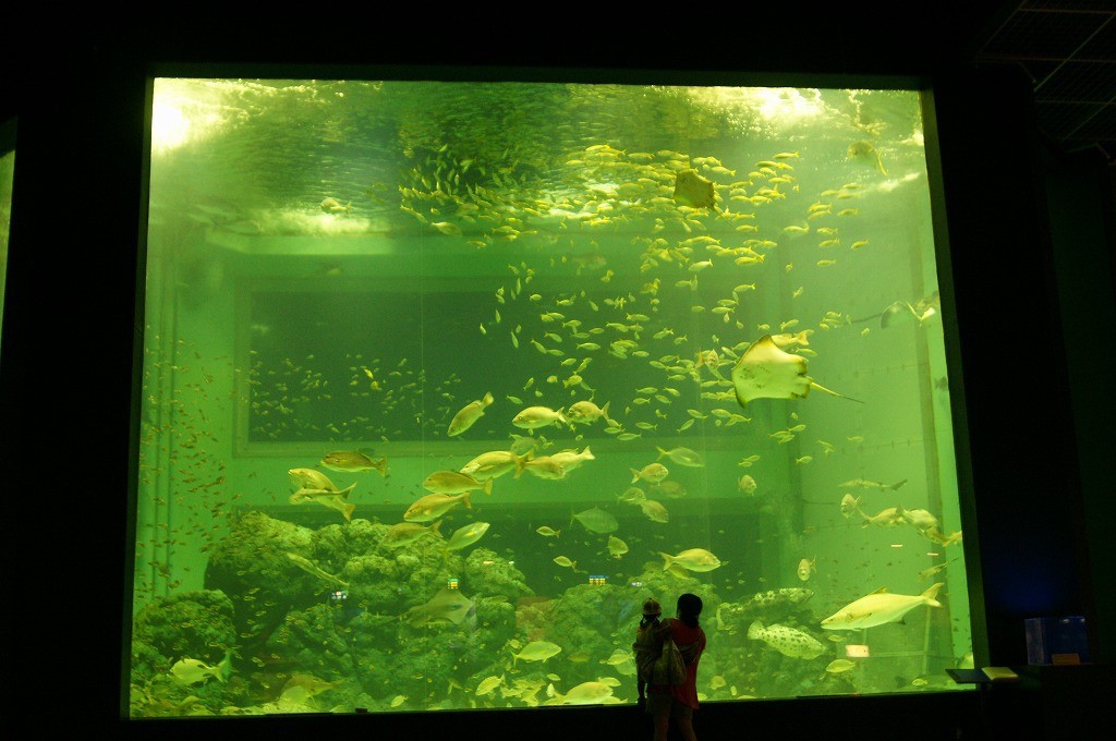 10334676625700042500_jpqx3zwala