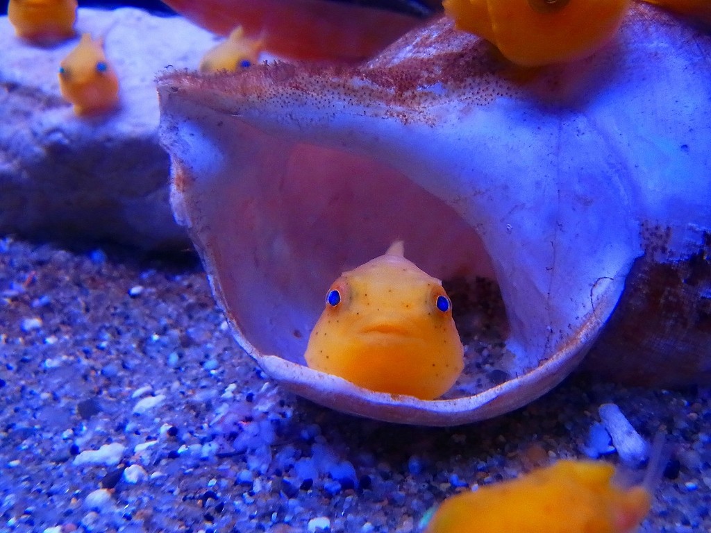 10230754303100042500_beqxqccila