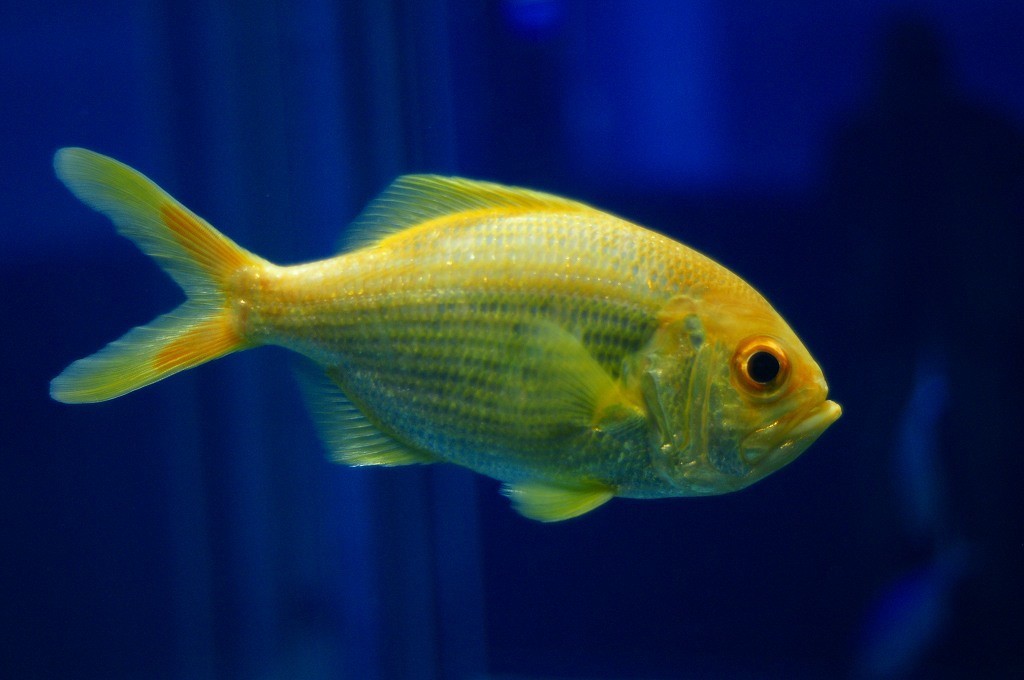 10233018262700042500_5ja05hudla