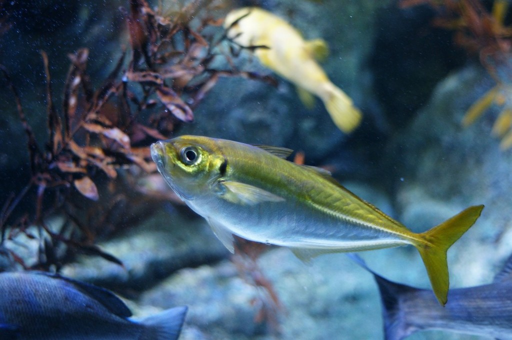 10138380070100042500_fe3tf8h4la