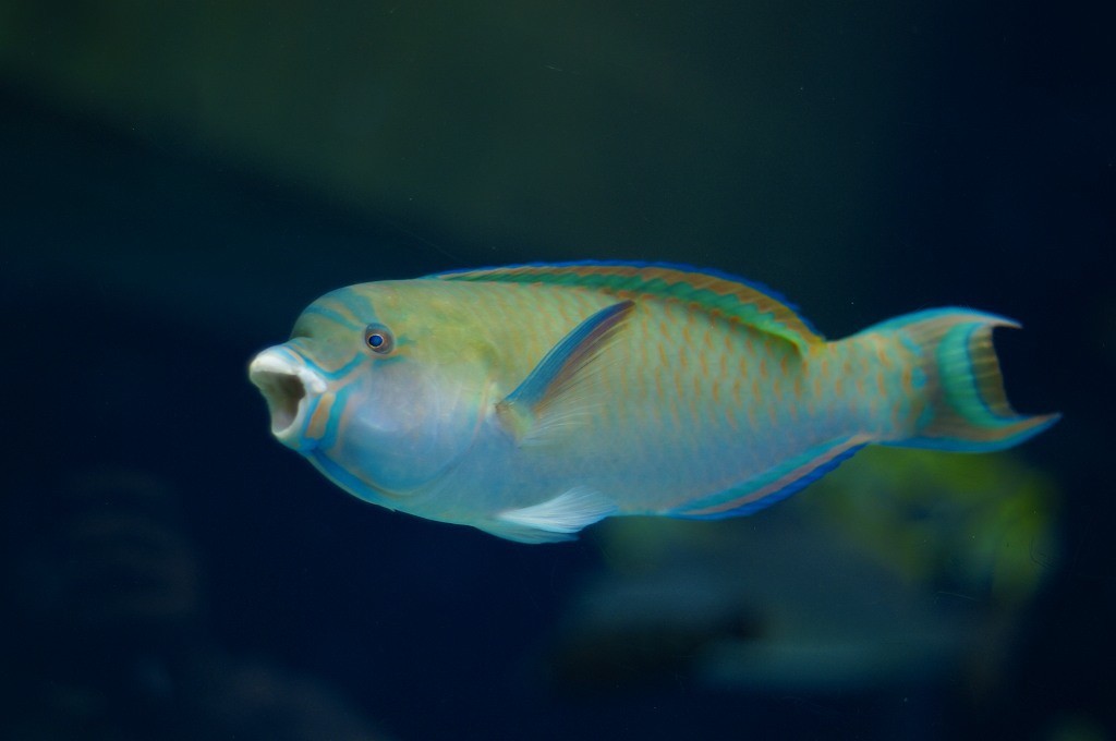 10333174289100042500_92zf7174la