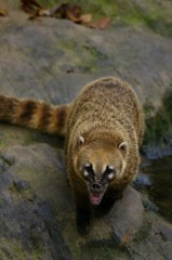 10230935626100042500_iga961jhla