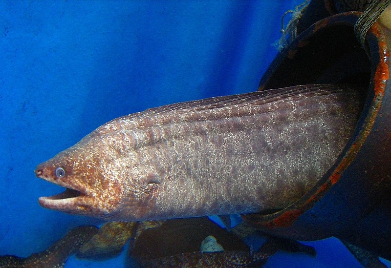 10129151964400042500_3k92tc03la