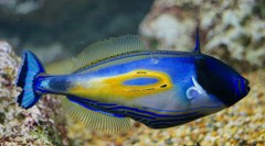 10127044430500042500_o6iky6nxla