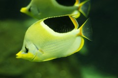 10234715582000042500_0q5dnoo3la