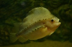 10230304716600042500_d0tbavbtla