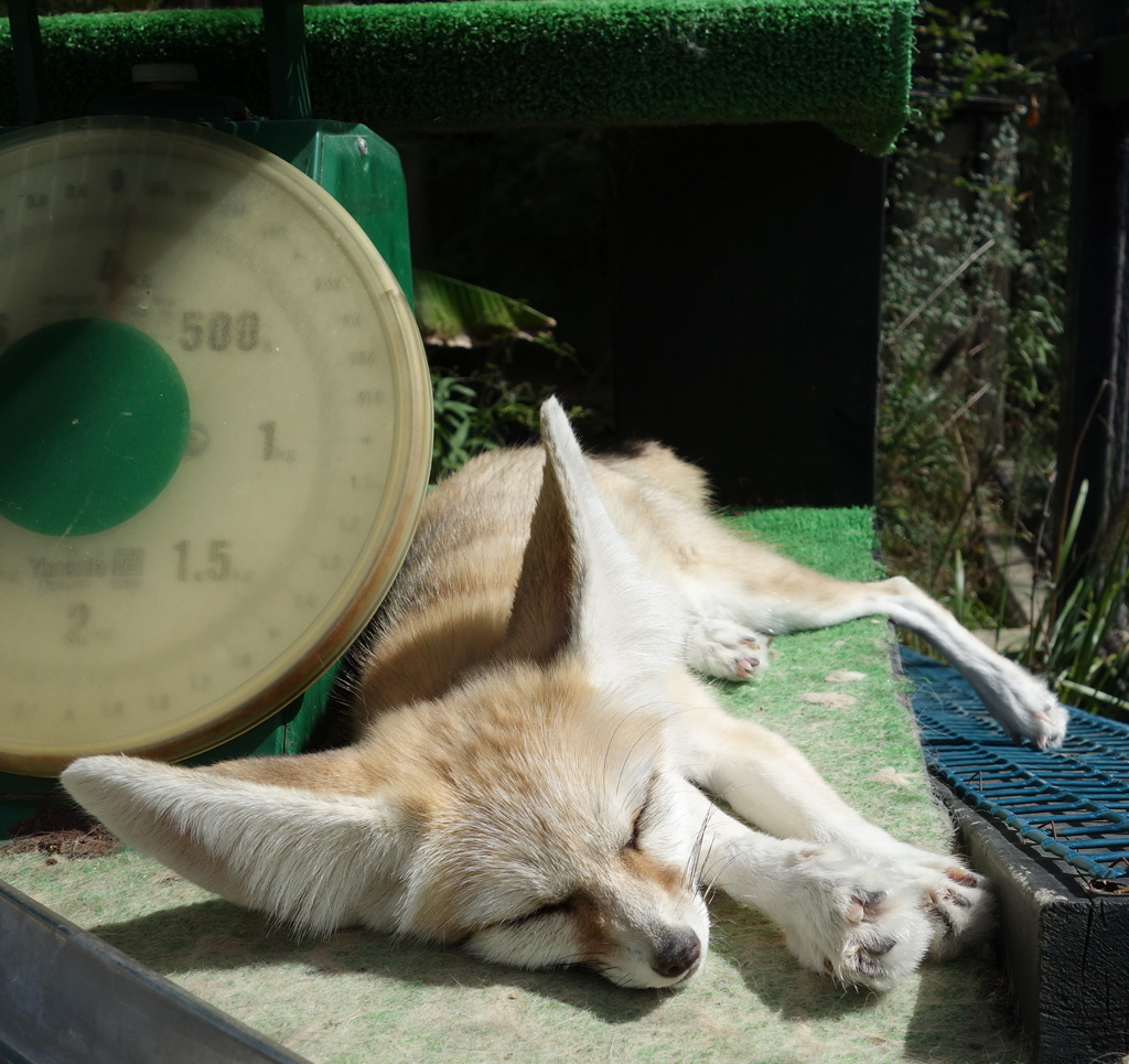 Don't disturb　part17