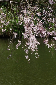 三河の春