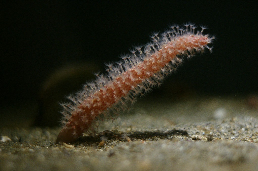 10234846073300042500_xgy131kila