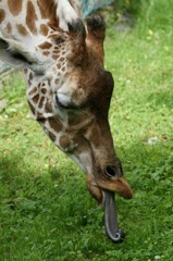 10237675511100042500_26tkl9ejla