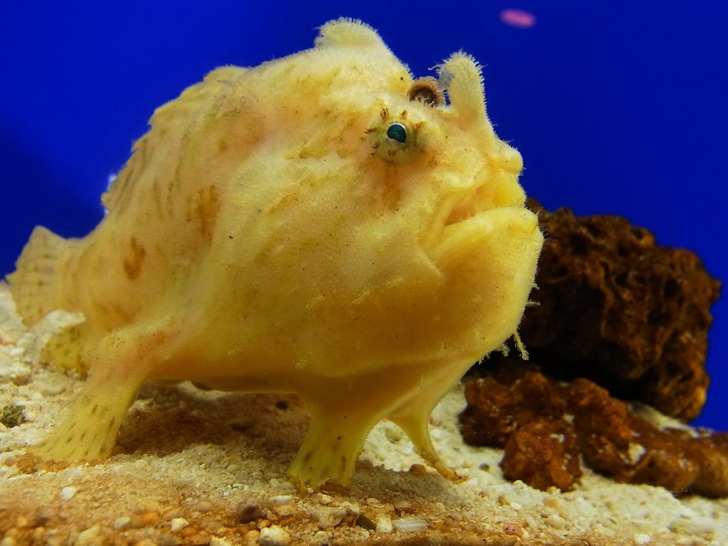 10234966316400042500_g1j64x04la