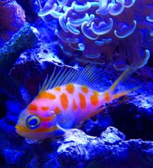 10426071696000042500_dyz0i3fbla