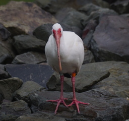 見張ってるからな！！　その59