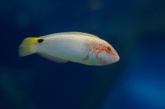 10133199204900042500_12htuwd7la