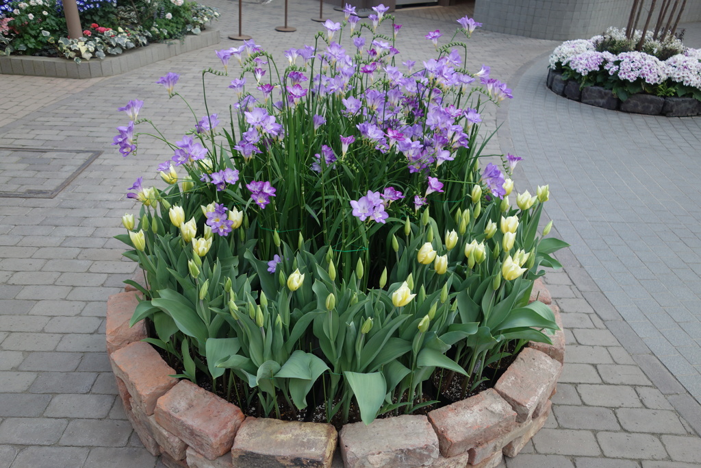 春の花園