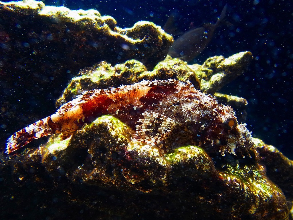 10132065184400042500_m6hgudeila