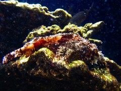 10132065184400042500_m6hgudeila