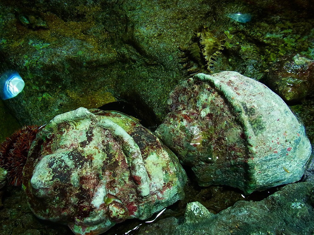 10234400031400042500_0nyu31f8la