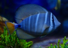 10226192437300042500_kbyv1qikla