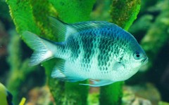 10126460156800042500_ztqtlouyla