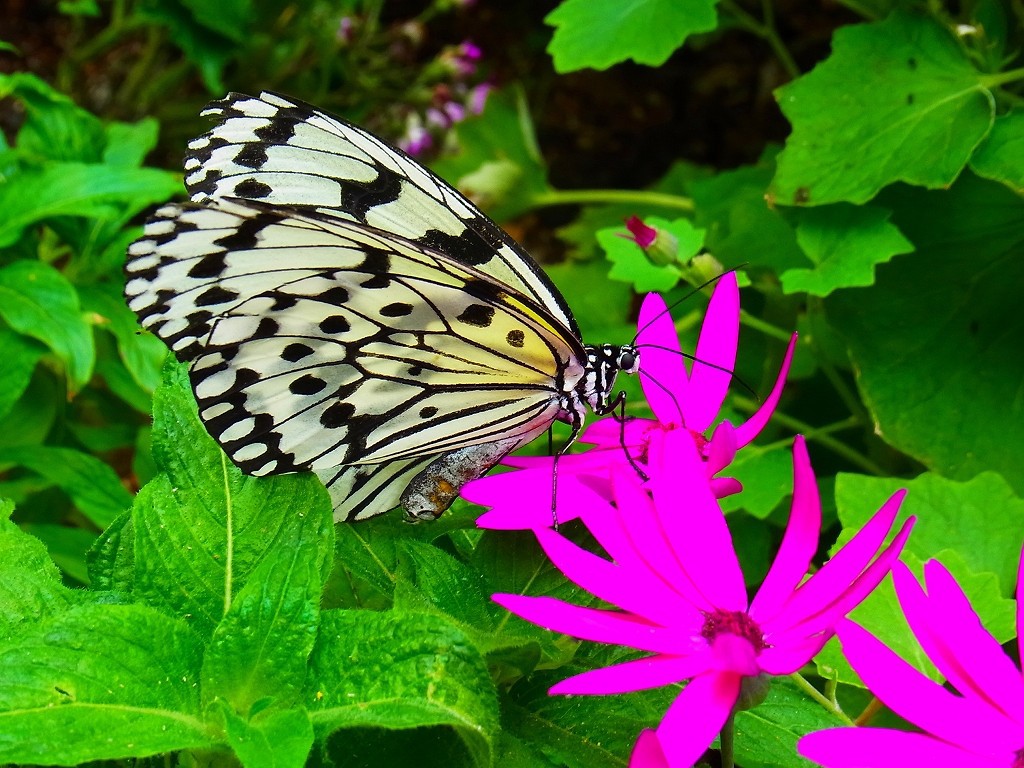 10130961352800042500_v9v1f5hdla